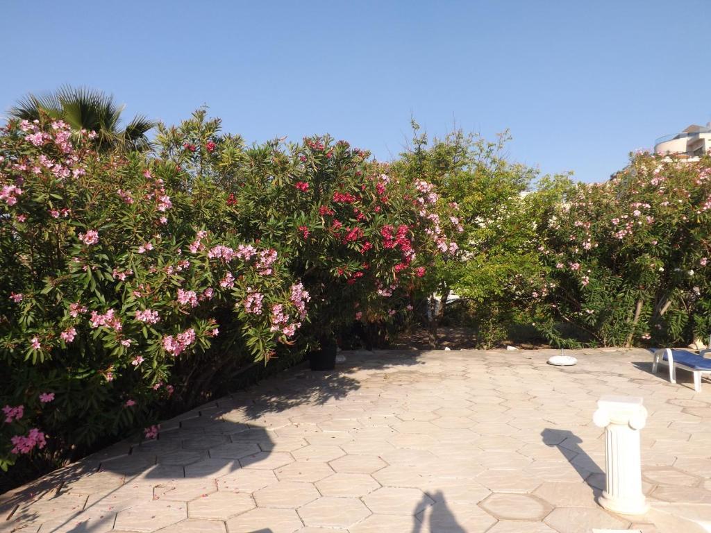 Bed and Breakfast Paradise Kazaphani